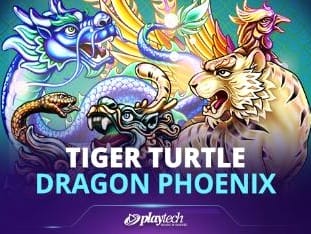Tiger Turtle Dragon Phoenix game thumbnail